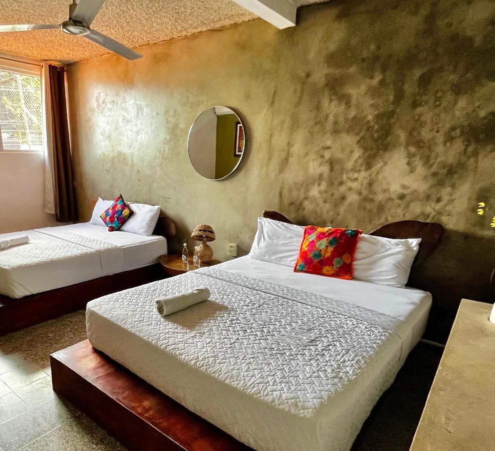 سان سلفادور La Zona Hostel المظهر الخارجي الصورة