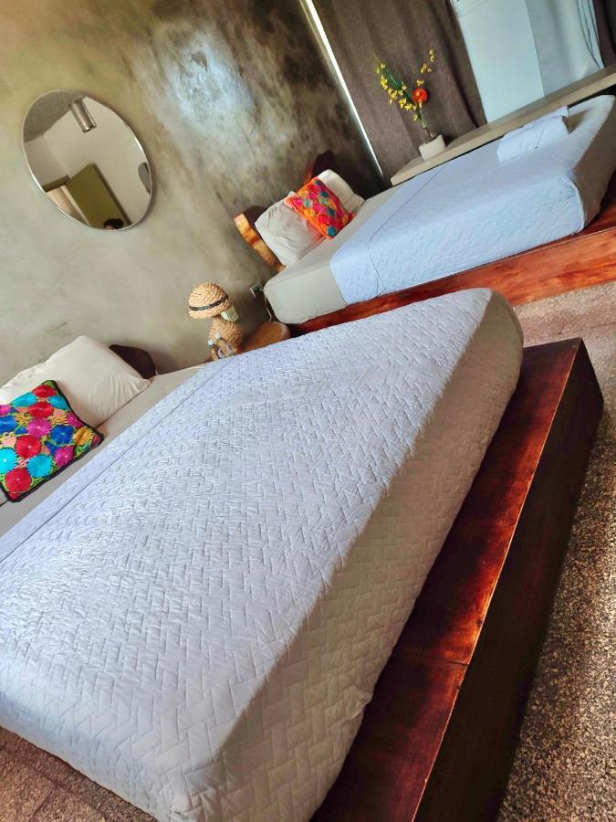 سان سلفادور La Zona Hostel المظهر الخارجي الصورة